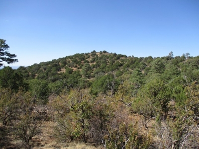 Snyder Knoll