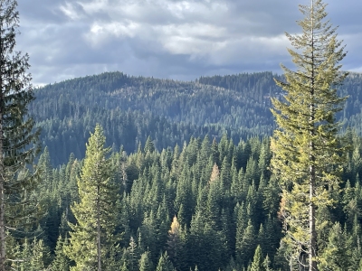 French Mountain
