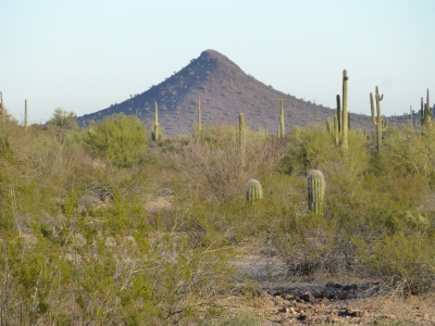 Needle Peak