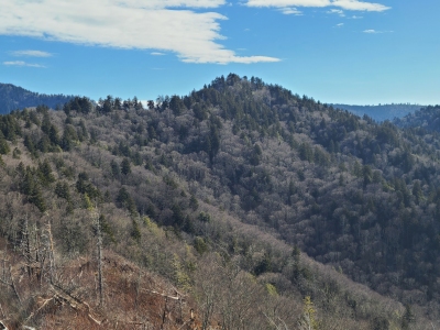 Sugarland Mountain, East