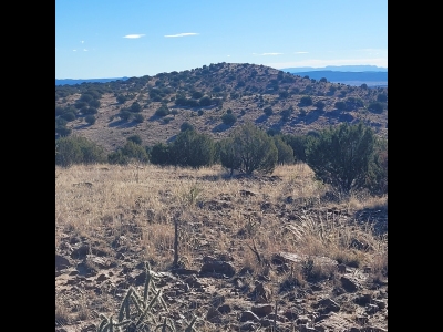 "Limpia Creek Vista"