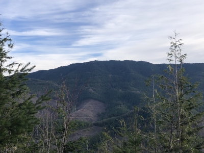 "Grass Mountain North"