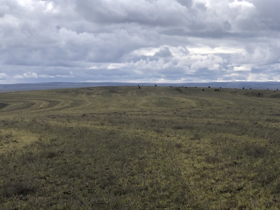 Utts Butte