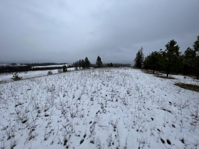Cream Ridge