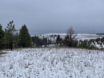 Lower Cream Ridge