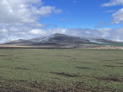 Big Butte