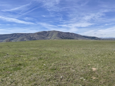 "Swale Plateau"