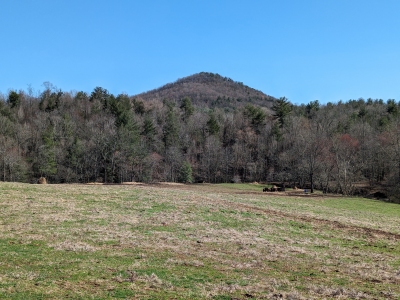 Wells Knob