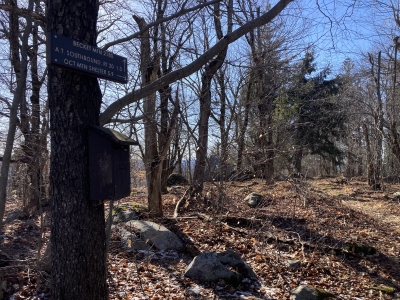 Becket Mountain