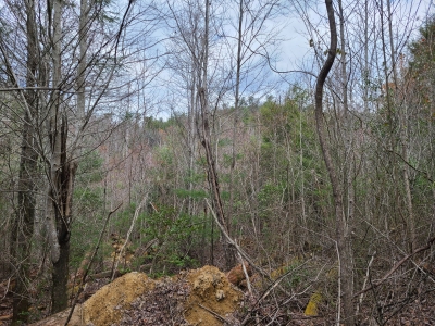 Beard Cane Mountain
