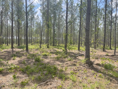 Emanuel County HP