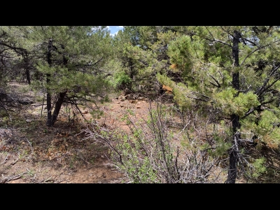 Outlaw Mesa