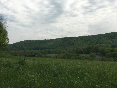 Goat Ranch Hill