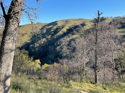 Rocky Ridge