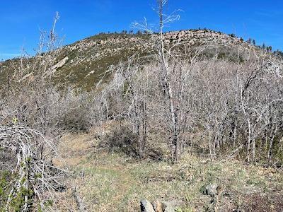 Carr Peak