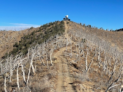 Bulldog Ridge