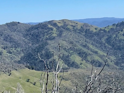 Bald Mountain