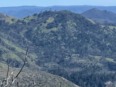 Red Mountain