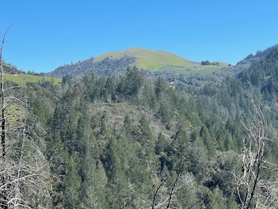 Bald Mountain