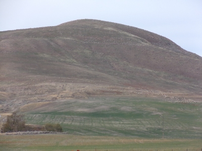 Anderson Hill