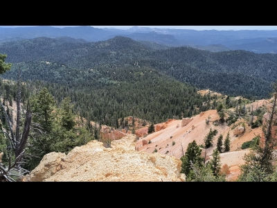 Pine Knoll