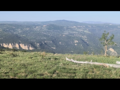 Cedar Mountain