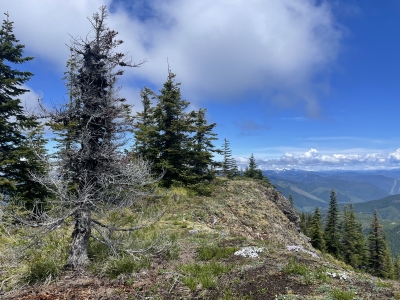 Huckleberry Mountain