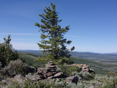Pine Mountain