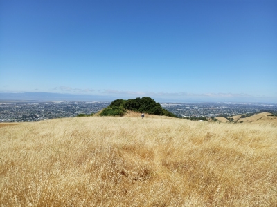 "Vista Peak"