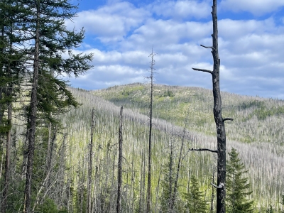 Taylor Ridge