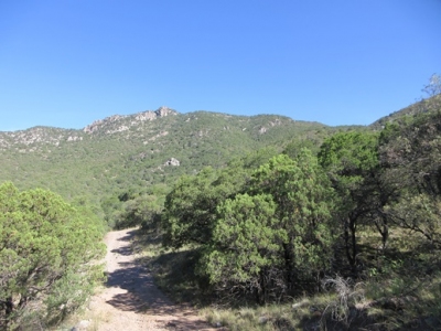 Peterson Peak