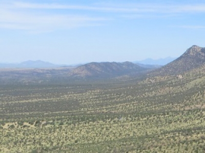 Lone Mountain