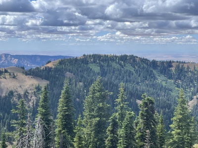 Paradise Ridge