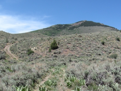 Fagin Mountain