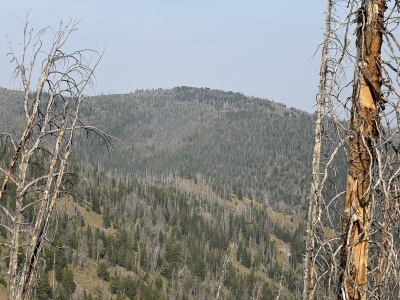 Blackbird Mountain