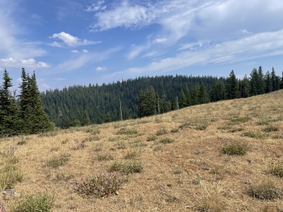 Round Butte