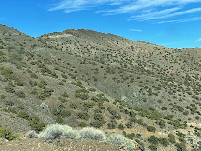 Pilot Peak