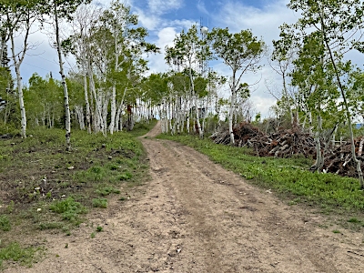 Quarry Mountain