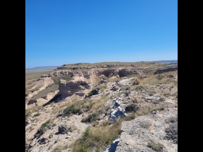 Eagle Nest