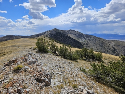 Sherman Mountain