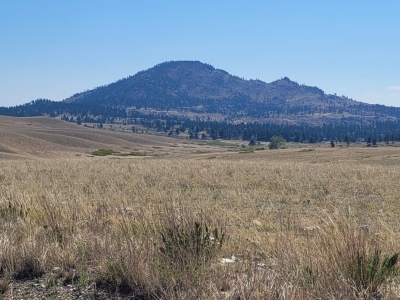 Sheep Mountain