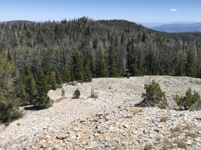 Old Baldy Mountain