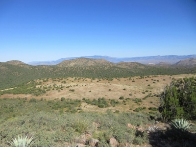 Steer Mountain