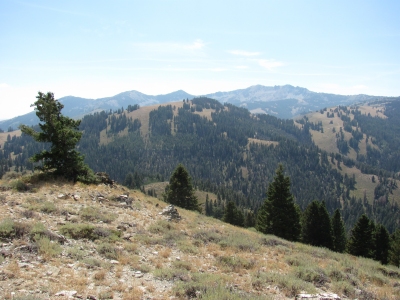 "Basque Peak"