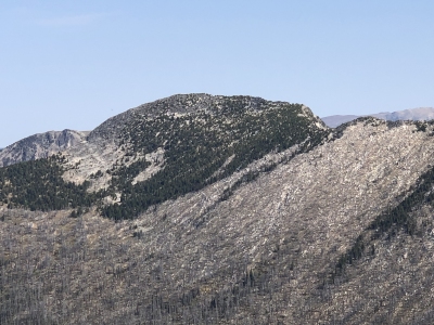 Freds Mountain