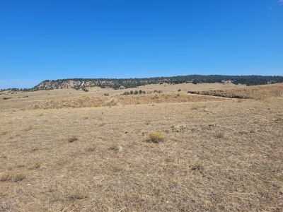Pine Ridge