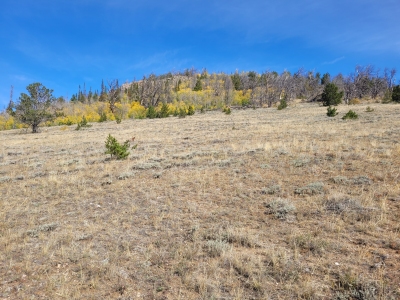 Sharp Hill