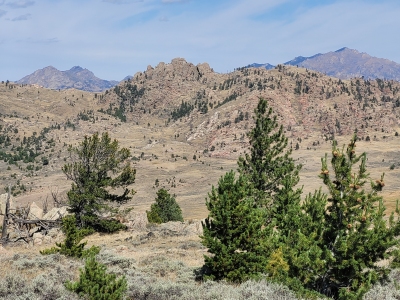 Sellers Mountain