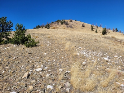 Cooper Hill