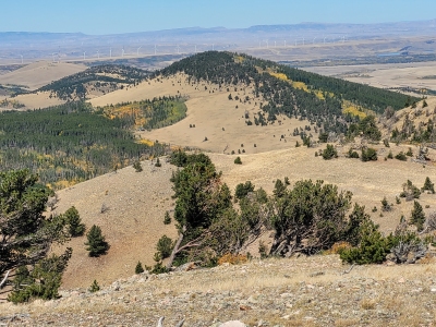 Deer Mountain